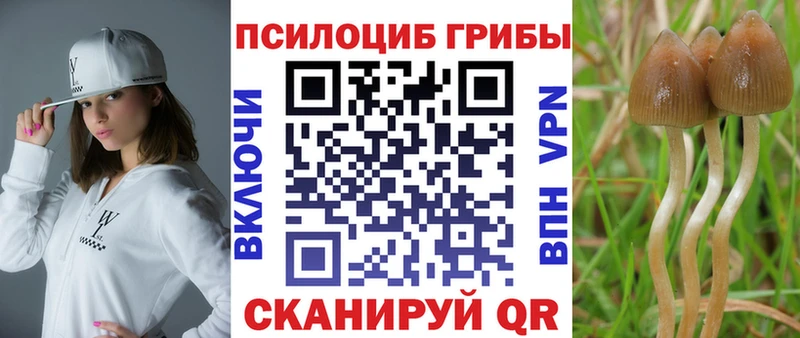 Галлюциногенные грибы MAGIC MUSHROOMS  Купить  Козельск 